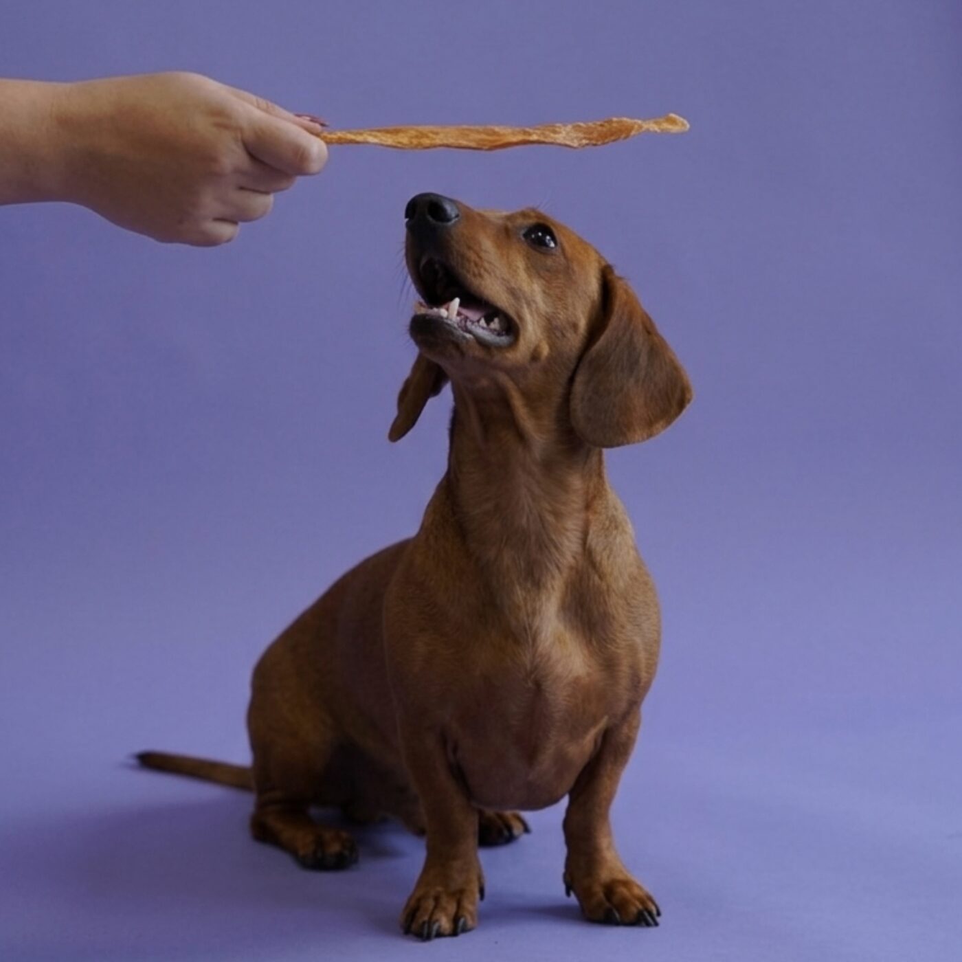 Chicken Strips - 2